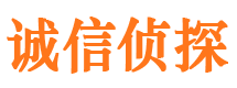 索县侦探公司